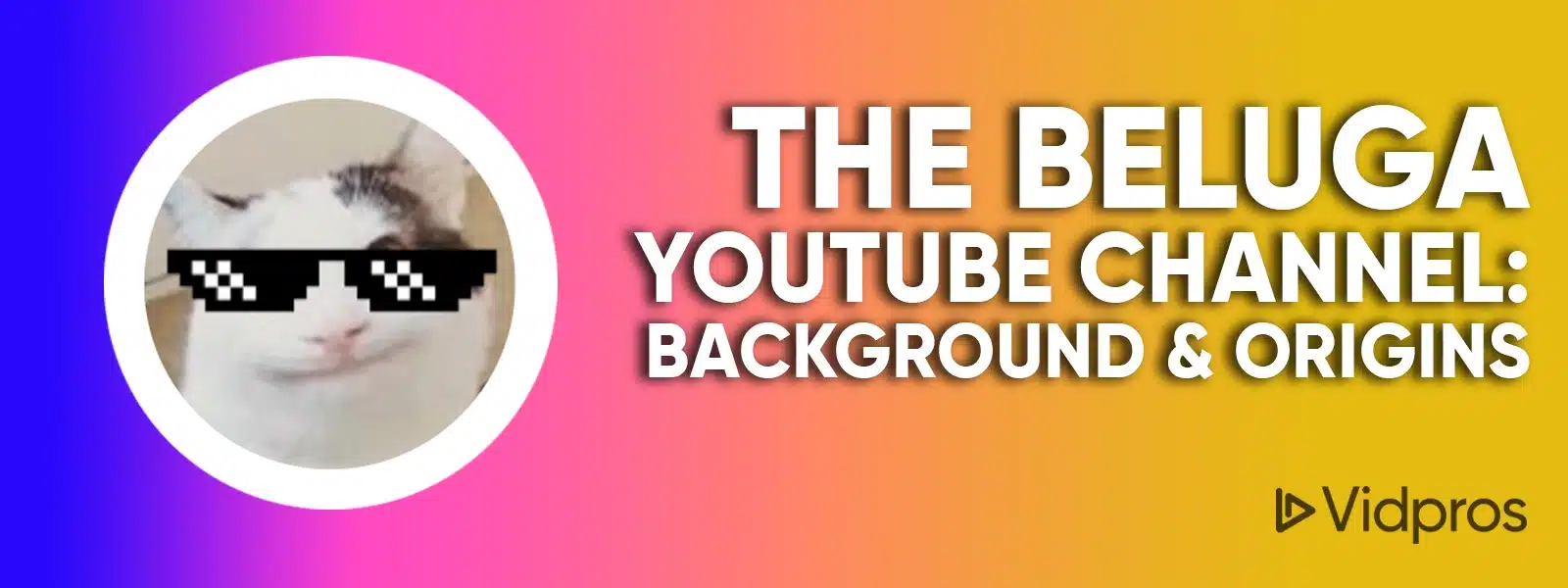 How The Beluga Channel Gained 4M Subs In 3 Months